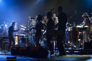 Live in the City-L'Usine à jazz - La Vence scène - Photos Dan Berilloux (24)